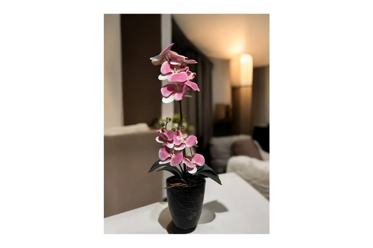 Dekoratif Yapay Orkide - Pembe Beyaz, Şık Tasarım