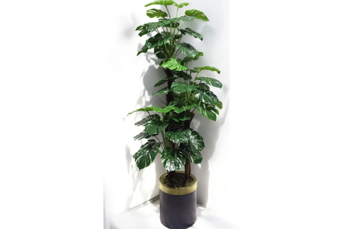 Tropikal Atmosfer: Deve Tabanı Yapay Ağaç (Gerçekçi Görünüm)