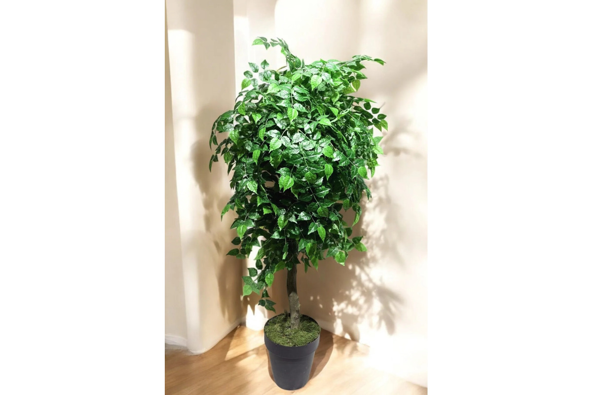 Yapay Ficus Ağacı - Dekoratif İç Mekan Bitkisi